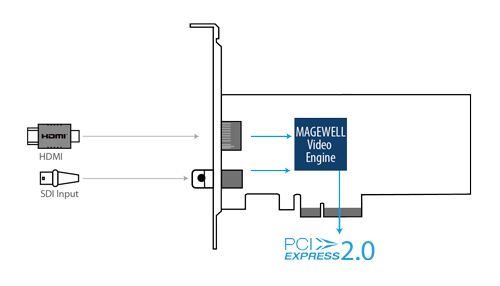 Magewell Pro Capture AIO 4K connections